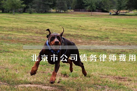 北京市公司债务律师费用标准 北京市公司债务律师费用标准
