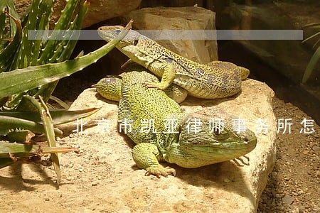 北京市凯亚律师事务所怎么样
