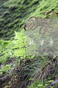 北京市刑事业务律师地址