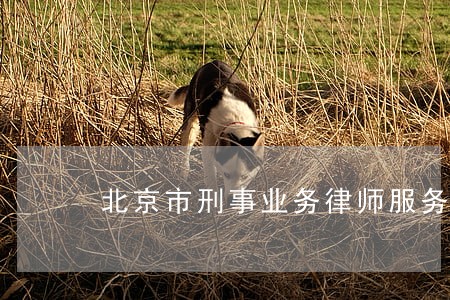 北京市刑事业务律师服务 北京市刑事业务律师服务
