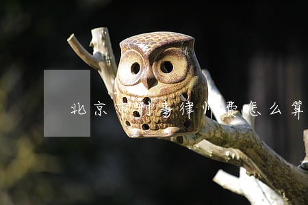 北京市刑事律师费怎么算 北京市刑事律师费怎么算
