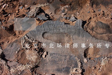 北京市北环律师事务所专业律师