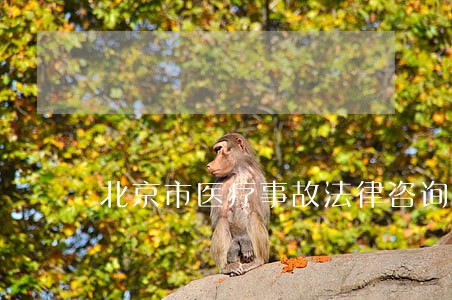 北京市医疗事故法律咨询 北京市医疗事故法律咨询
