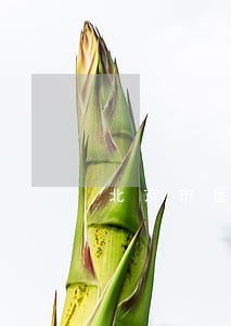 北京市医疗事故赔偿律师联系方式 北京市医疗事故赔偿律师联系方式