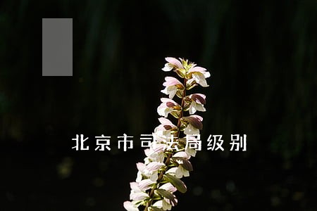 北京市司法局级别