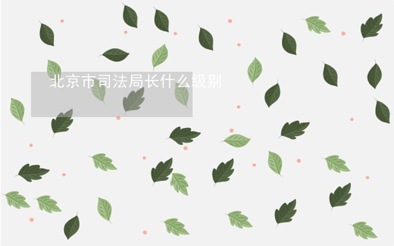 北京市司法局长什么级别 北京市司法局长什么级别