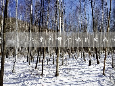 北京市哪个地区的法院比较好 北京市哪个地区的法院比较好