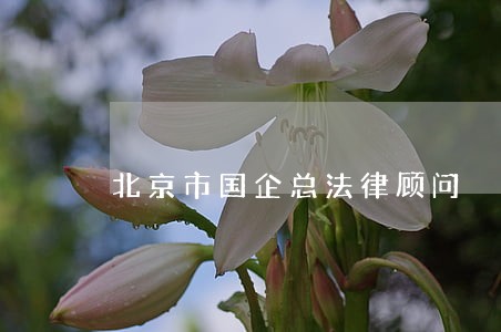 北京市国企总法律顾问