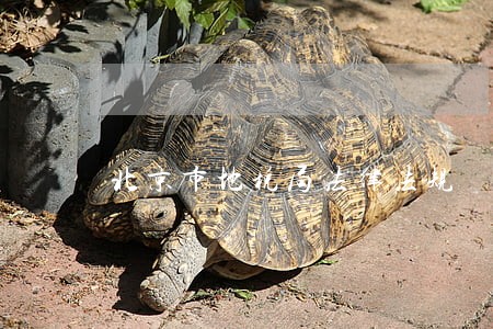 北京市地税局法律法规 北京市地税局法律法规