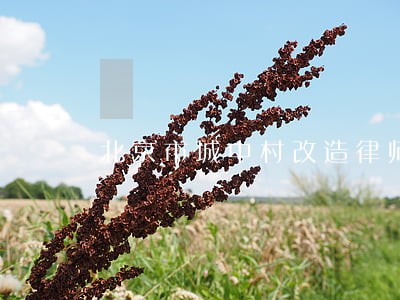 北京市城中村改造律师联系方式 北京市城中村改造律师联系方式