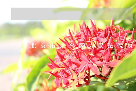 北京市大兴区人民法院执行局 北京市大兴区人民法院执行局