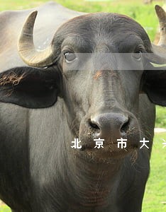 北京市大兴区离婚律师 北京市大兴区离婚律师