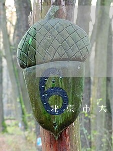北京市大兴律师事务所 北京市大兴律师事务所