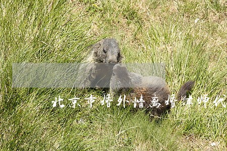 北京市婚外情离婚律师代理费 北京市婚外情离婚律师代理费