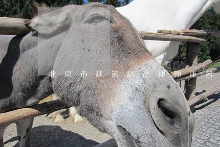 北京市建筑房产律师排名 北京市建筑房产律师排名