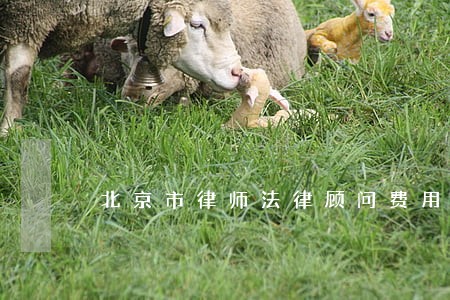 北京市律师法律顾问费用 北京市律师法律顾问费用