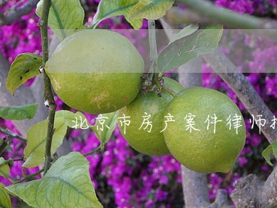 北京市房产案件律师推荐 北京市房产案件律师推荐