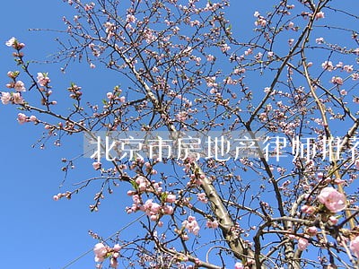 北京市房地产律师推荐