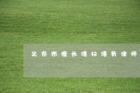 北京市擅长债权债务律师收费