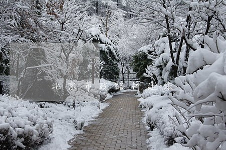 北京市政路桥违法