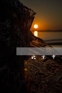 北京市无违法犯罪记录