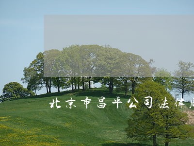 北京市昌平公司法律顾问 北京市昌平公司法律顾问