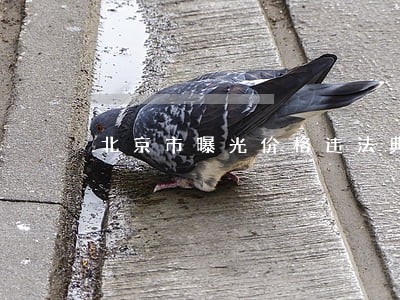 北京市曝光价格违法典型案件 北京市曝光价格违法典型案件