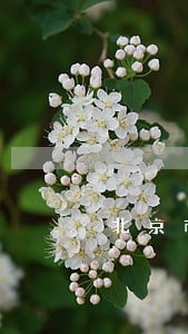 北京市有法律援助热线 北京市有法律援助热线