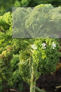 北京市朝阳区专做刑事官司律师 北京市朝阳区专做刑事官司律师