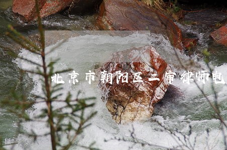 北京市朝阳区二审律师电话咨询 北京市朝阳区二审律师电话咨询