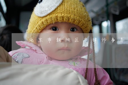 北京市朝阳区市律师事务所 北京市朝阳区市律师事务所