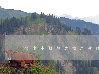 北京市朝阳房地产律师费 北京市朝阳房地产律师费