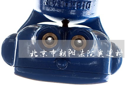 北京市朝阳法院奥运村法庭