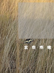 北京市格平律师事务所怎么样 北京市格平律师事务所怎么样
