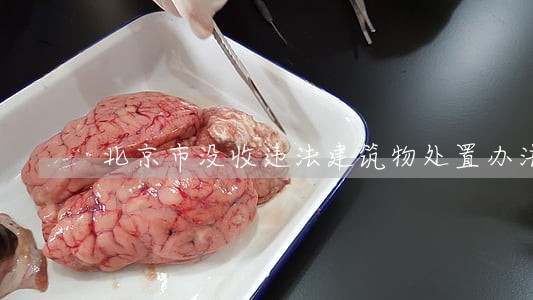 北京市没收违法建筑物处置办法 北京市没收违法建筑物处置办法