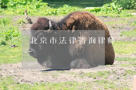 北京市法律咨询律师 北京市法律咨询律师