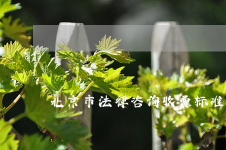 北京市法律咨询收费标准 北京市法律咨询收费标准