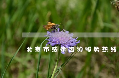 北京市法律咨询服务热线