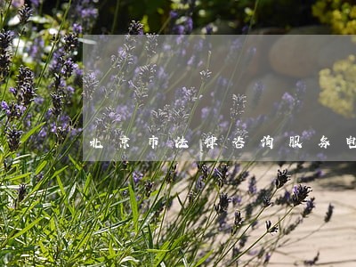 北京市法律咨询服务电话 北京市法律咨询服务电话