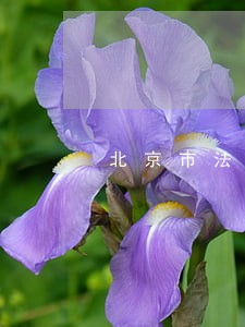 北京市法律援助中心中心 北京市法律援助中心中心