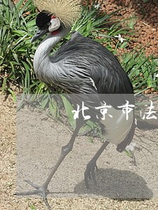 北京市法律援助收费吗 北京市法律援助收费吗