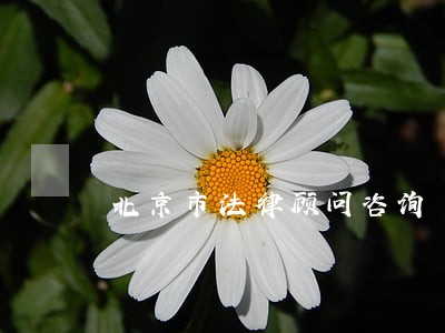 北京市法律顾问咨询 北京市法律顾问咨询