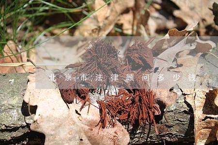 北京市法律顾问多少钱 北京市法律顾问多少钱