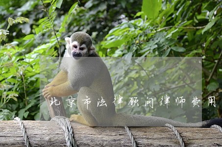 北京市法律顾问律师费用