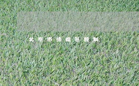 北京市法院员额制 北京市法院员额制