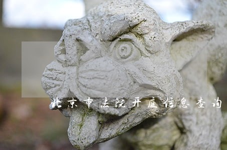 北京市法院开庭信息查询 北京市法院开庭信息查询