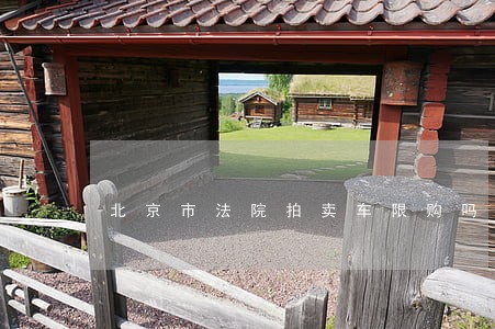 北京市法院拍卖车限购吗