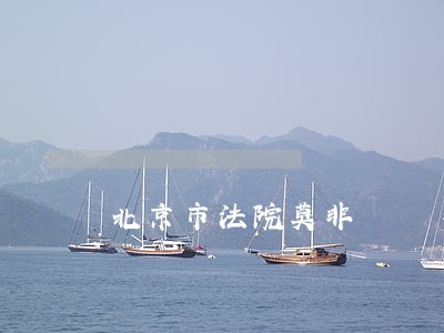 北京市法院莫非 北京市法院莫非