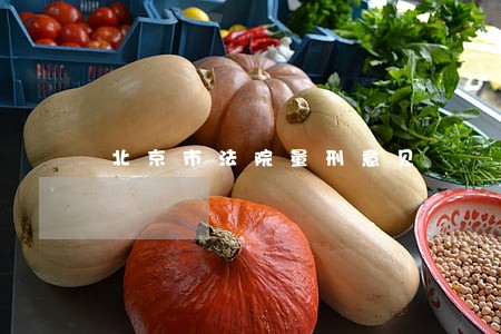 北京市法院量刑意见 北京市法院量刑意见