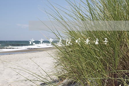 北京市法院非亲生子 北京市法院非亲生子